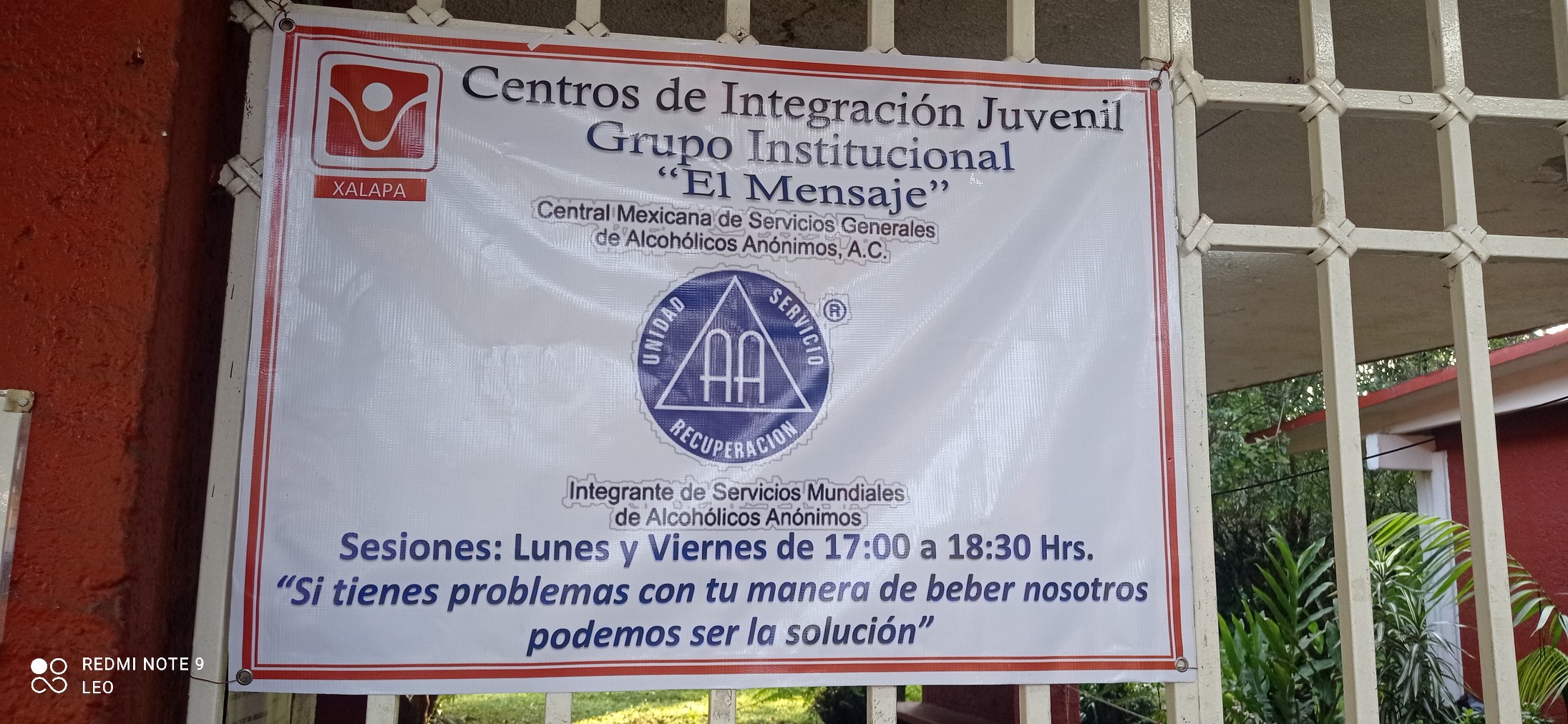 Grupo Institucional 