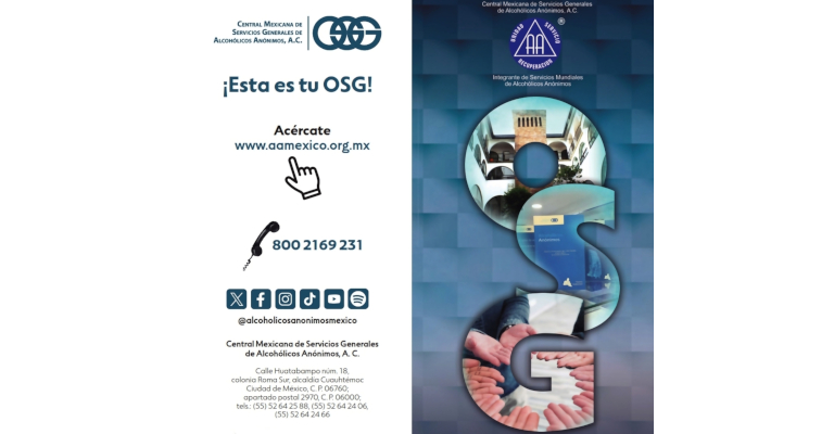 Políptico sobre OSG México 