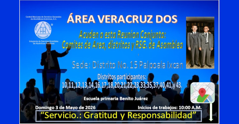 Reunión Conjunta:  Comites de Area, distritos y RSG. de Asamblea